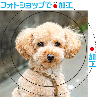 �摜����ʃo�b�` �኱�̔w�i�s���Ȃ�ҏW���܂� ���Ɍ�,�_�ˎs,�P�H�s,���{�s,���s