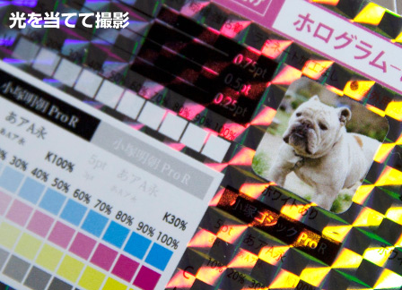 �p�����{(�����T���v��)���쌧,���{�s,��c�s